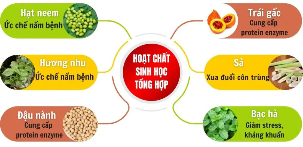 HD02 CHUYÊN SỬ DỤNG CHO CÂY LÚA 250ML